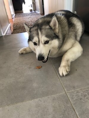 Luna