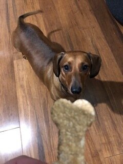 Peanut